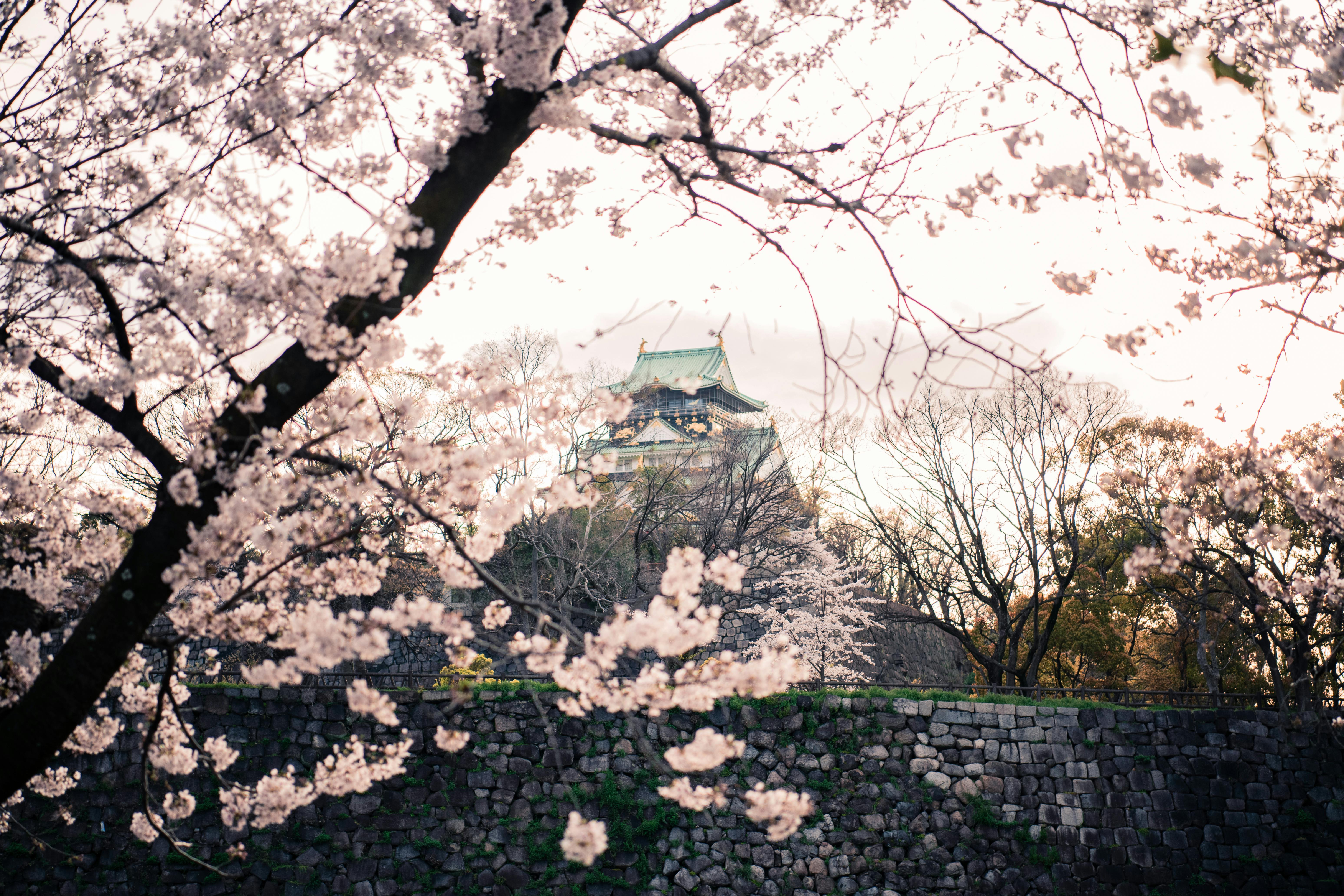 Photo by Satoshi Hirayama