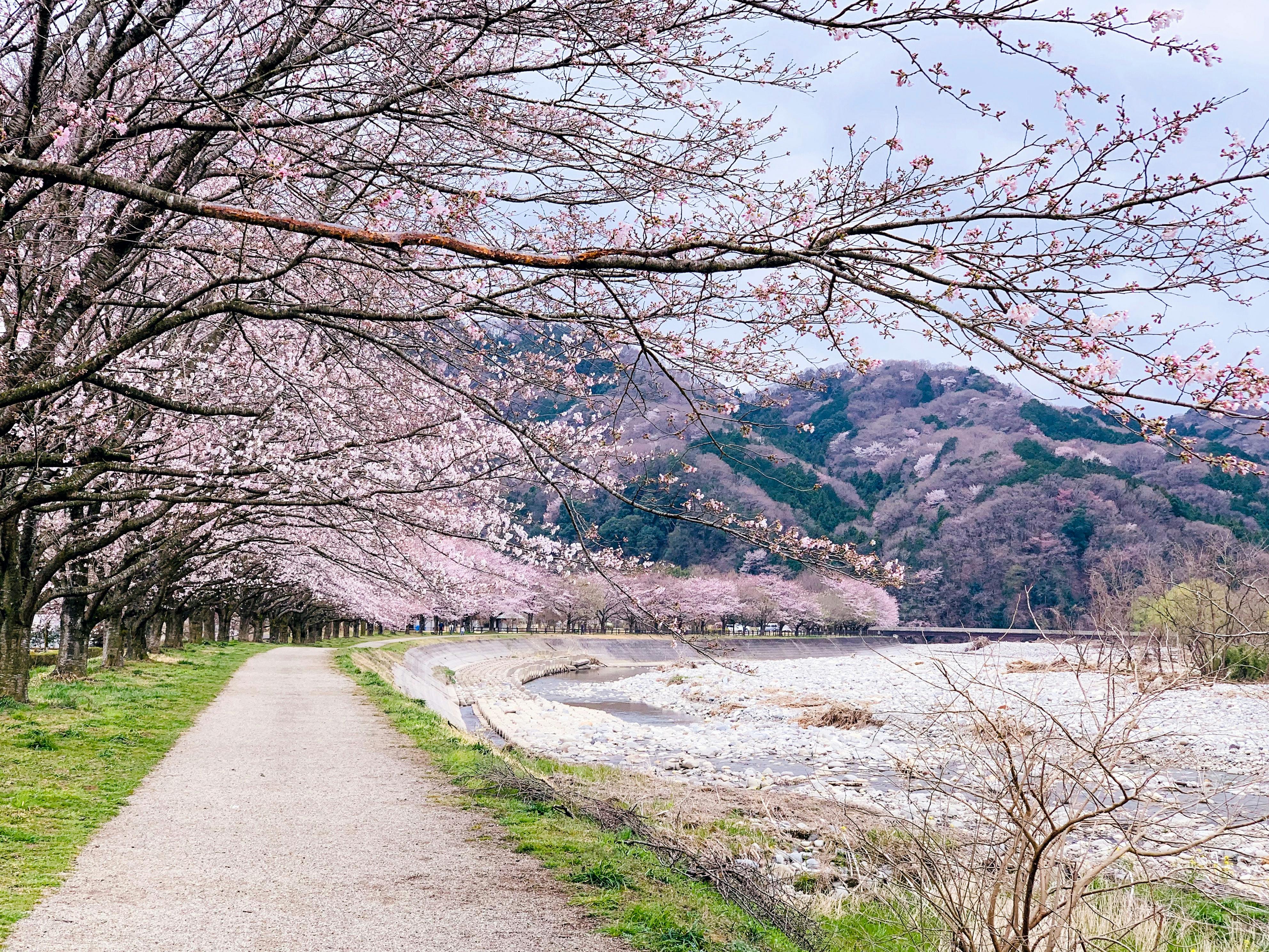 Photo by Akira Deng